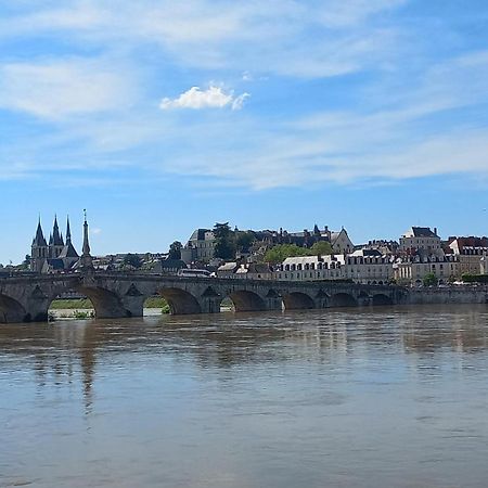 Apartamento Duplex 60 M2 Bord De Loire Blois Exterior foto