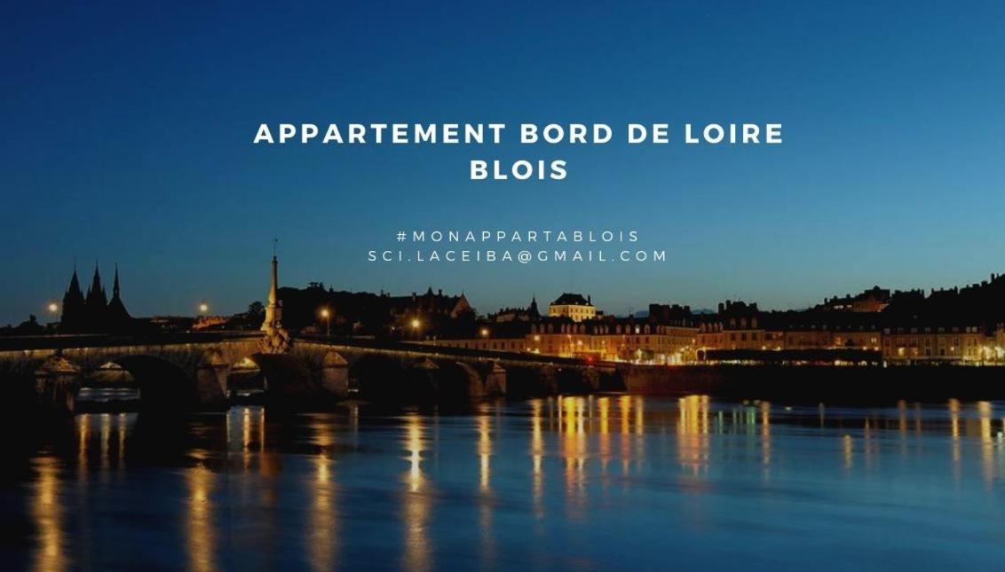 Apartamento Duplex 60 M2 Bord De Loire Blois Exterior foto