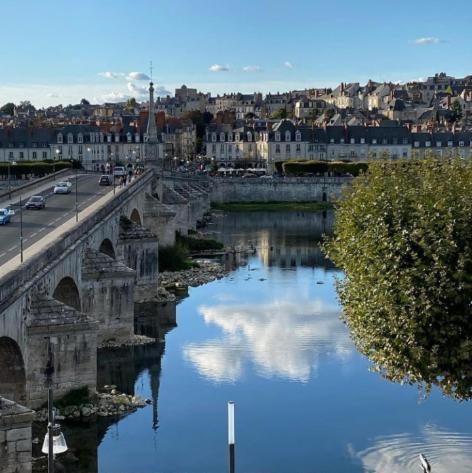 Apartamento Duplex 60 M2 Bord De Loire Blois Exterior foto