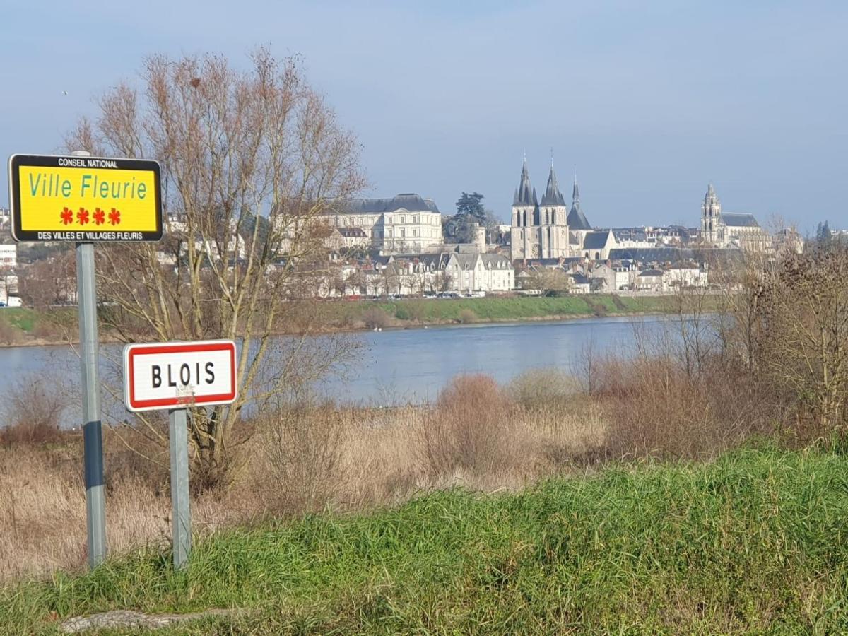 Apartamento Duplex 60 M2 Bord De Loire Blois Exterior foto