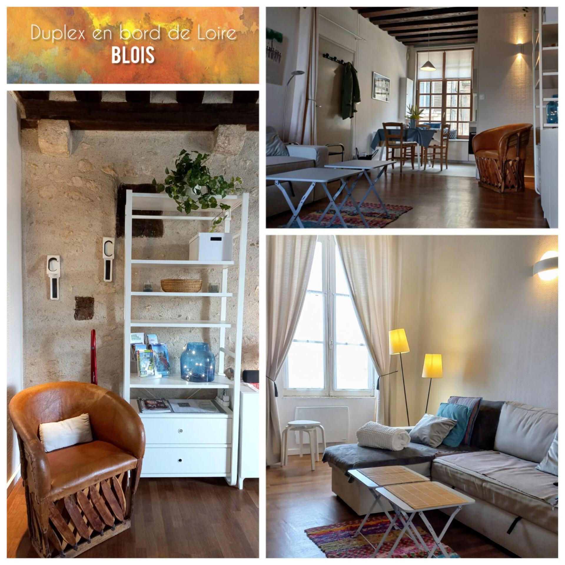 Apartamento Duplex 60 M2 Bord De Loire Blois Exterior foto